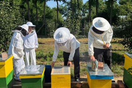 Bucurie şi filantropie în timp de vacanţă, în Parohia Zavoaia – fotografia 14