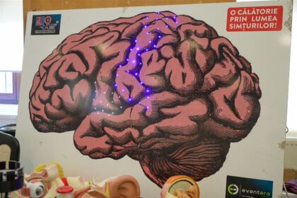 Comunicare interpersonală prin activităţi cultural-educative şi recreative pentru copii, la Muzeul eparhial din Galaţi – fotografia 6