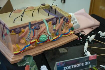 Comunicare interpersonală prin activităţi cultural-educative şi recreative pentru copii, la Muzeul eparhial din Galaţi – fotografia 8