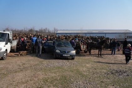 Lemne oferite de Arhiepiscopia Dunării de Jos pentru sinistraţii din judeţul Galaţi – fotografia 1