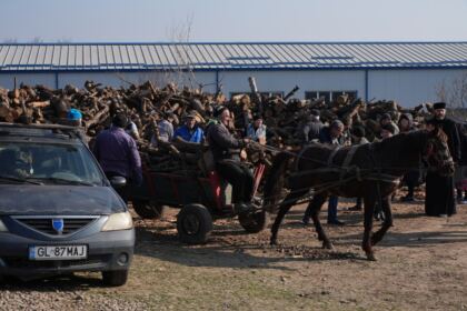 Lemne oferite de Arhiepiscopia Dunării de Jos pentru sinistraţii din judeţul Galaţi – fotografia 3