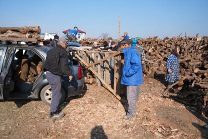 Lemne oferite de Arhiepiscopia Dunării de Jos pentru sinistraţii din judeţul Galaţi – fotografia 6