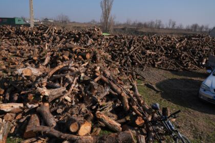 Lemne oferite de Arhiepiscopia Dunării de Jos pentru sinistraţii din judeţul Galaţi – fotografia 7