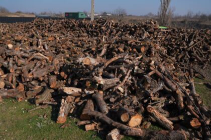 Lemne oferite de Arhiepiscopia Dunării de Jos pentru sinistraţii din judeţul Galaţi – fotografia 8