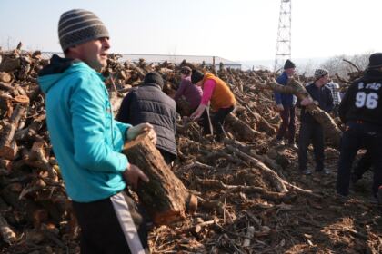 Lemne oferite de Arhiepiscopia Dunării de Jos pentru sinistraţii din judeţul Galaţi – fotografia 17