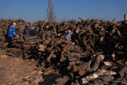Lemne oferite de Arhiepiscopia Dunării de Jos pentru sinistraţii din judeţul Galaţi – fotografia 26