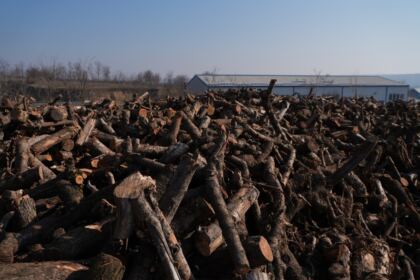 Lemne oferite de Arhiepiscopia Dunării de Jos pentru sinistraţii din judeţul Galaţi – fotografia 33