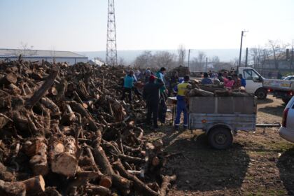 Lemne oferite de Arhiepiscopia Dunării de Jos pentru sinistraţii din judeţul Galaţi – fotografia 35
