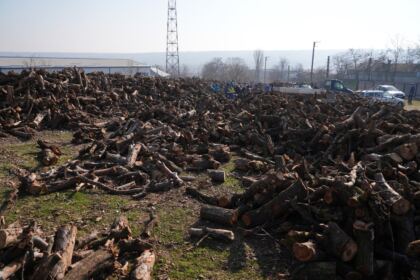 Lemne oferite de Arhiepiscopia Dunării de Jos pentru sinistraţii din judeţul Galaţi – fotografia 39