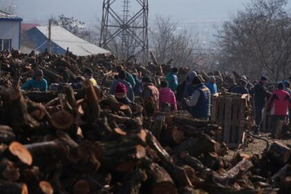 Lemne oferite de Arhiepiscopia Dunării de Jos pentru sinistraţii din judeţul Galaţi – fotografia 44