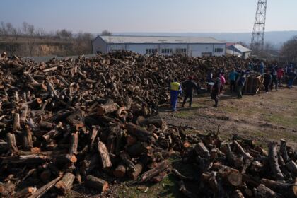 Lemne oferite de Arhiepiscopia Dunării de Jos pentru sinistraţii din judeţul Galaţi – fotografia 47