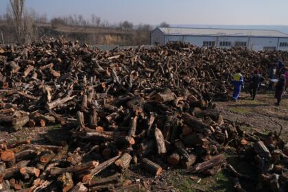 Lemne oferite de Arhiepiscopia Dunării de Jos pentru sinistraţii din judeţul Galaţi – fotografia 48