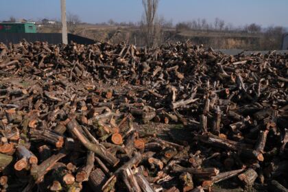 Lemne oferite de Arhiepiscopia Dunării de Jos pentru sinistraţii din judeţul Galaţi – fotografia 49