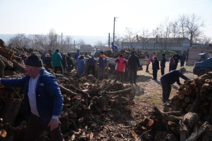 Lemne oferite de Arhiepiscopia Dunării de Jos pentru sinistraţii din judeţul Galaţi – fotografia 51