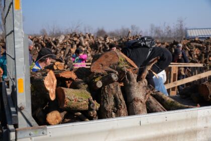 Lemne oferite de Arhiepiscopia Dunării de Jos pentru sinistraţii din judeţul Galaţi – fotografia 53