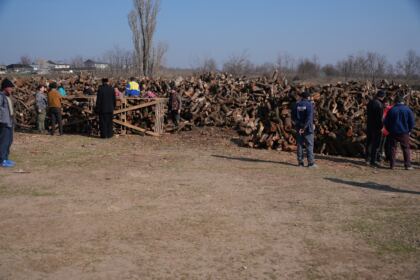 Lemne oferite de Arhiepiscopia Dunării de Jos pentru sinistraţii din judeţul Galaţi – fotografia 58