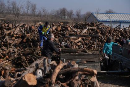 Lemne oferite de Arhiepiscopia Dunării de Jos pentru sinistraţii din judeţul Galaţi – fotografia 67