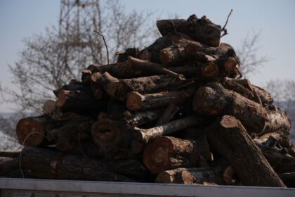 Lemne oferite de Arhiepiscopia Dunării de Jos pentru sinistraţii din judeţul Galaţi – fotografia 72