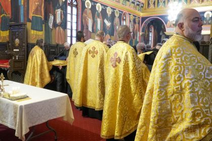 Rugăciune şi binecuvântare pentru bolnavii din Spitalul Judeţean „Sf. Ap. Andrei” din Galaţi – fotografia 26