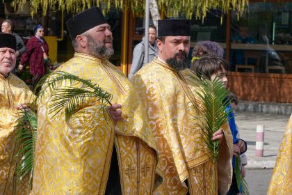 Pelerinajul de Florii în Arhiepiscopia Dunării de Jos – fotografia 12
