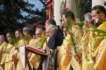 Pelerinajul de Florii în Arhiepiscopia Dunării de Jos – fotografia 19