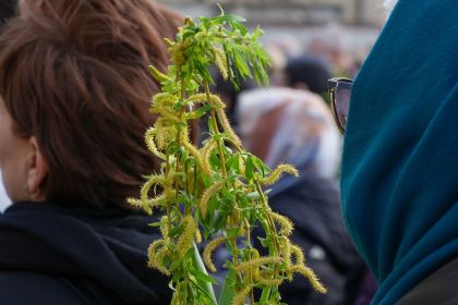 Pelerinajul de Florii în Arhiepiscopia Dunării de Jos – fotografia 40