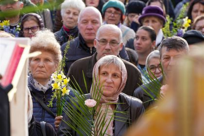 Pelerinajul de Florii în Arhiepiscopia Dunării de Jos – fotografia 41
