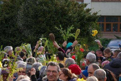 Pelerinajul de Florii în Arhiepiscopia Dunării de Jos – fotografia 43