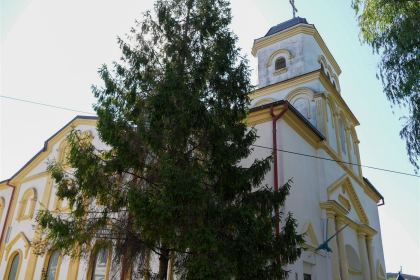 3300 de copii din judeţele Galaţi şi Brăila premesc sprijin din partea Bisericii la început de an şcolar – fotografia 28