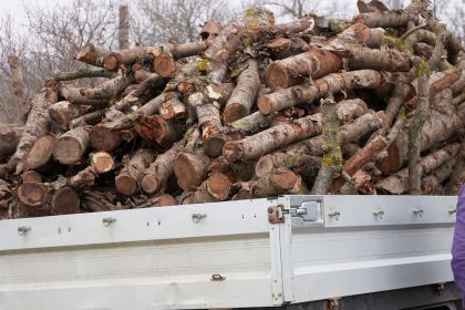 Lemne oferite familiilor nevoiaşe din judeţul Galaţi – fotografia 15