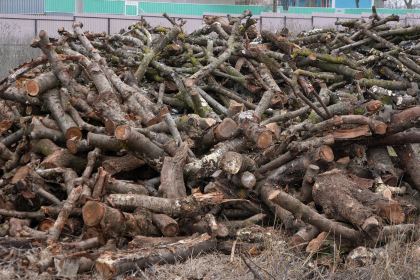 Lemne oferite familiilor nevoiaşe din judeţul Galaţi – fotografia 17