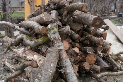 Lemne oferite familiilor nevoiaşe din judeţul Galaţi – fotografia 22