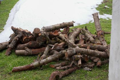 Lemne oferite familiilor nevoiaşe din judeţul Galaţi – fotografia 34