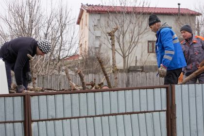 Lemne oferite familiilor nevoiaşe din judeţul Galaţi – fotografia 35